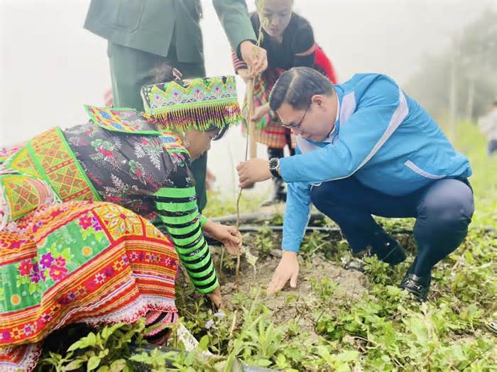 Đoàn viên thanh niên trồng cây, thăm địa chỉ đỏ khai xuân