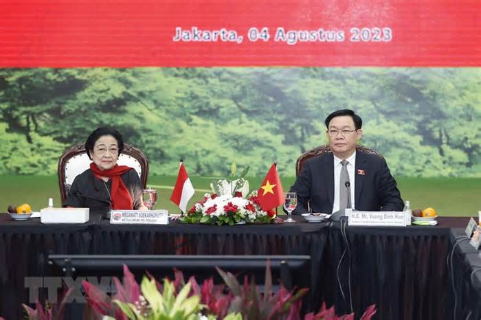 Việt Nam và Indonesia cần tăng cường hơn nữa quan hệ hợp tác