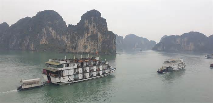 Tàu đông, khách ít, các chủ tàu đua nhau hạ giá