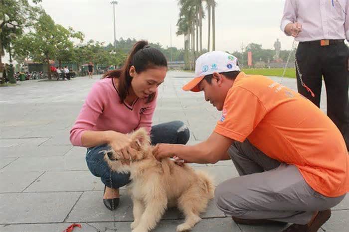 Có nạn nhân tử vong, Nghệ An khẩn cấp triển khai phòng chống bệnh dại