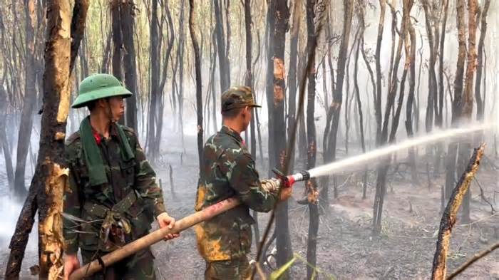 Đã khống chế vụ cháy rừng ở Kiên Giang, tiếp tục xử lý tránh cháy lại