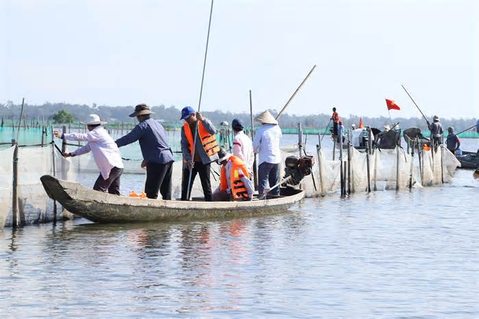 Dẹp lưới vây trên phá Tam Giang - Cầu Hai