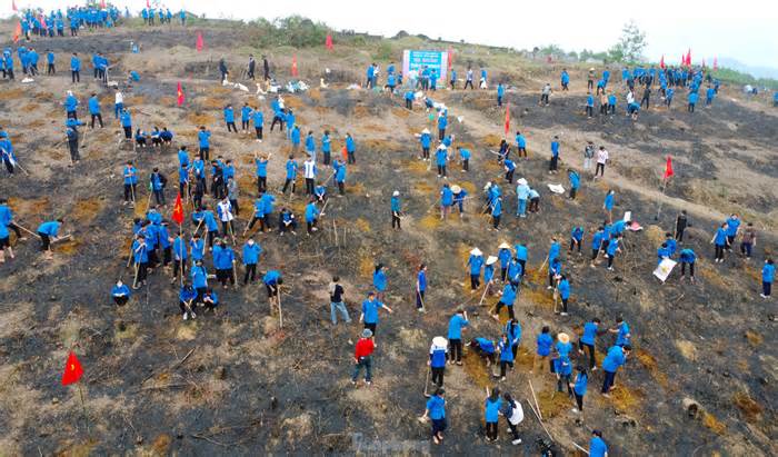 Giáo viên và học sinh trồng vạn cây xanh đầu năm mới