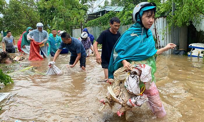 Khuyến cáo dân vùng lũ không dùng gia cầm chết chế biến thực phẩm