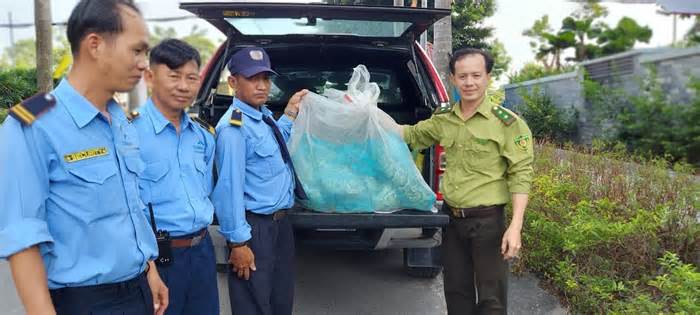 TPHCM : Động vật hoang dã quý hiếm liên tục xuất hiện ở khu dân cư