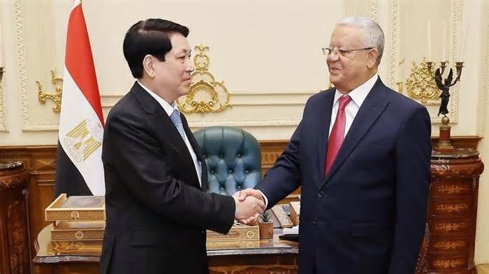 Việt Nam-Ai Cập: Tăng cường hơn nữa hợp tác trên kênh nghị viện