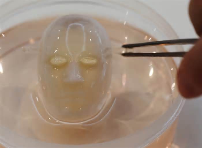 Nhật Bản tạo ra khuôn mặt robot biết cười bằng da người