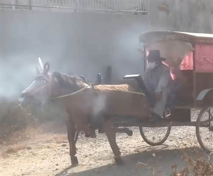 Thợ máy 68 tuổi ở Bình Chánh tự chế ngựa sắt đi dạo quanh xóm