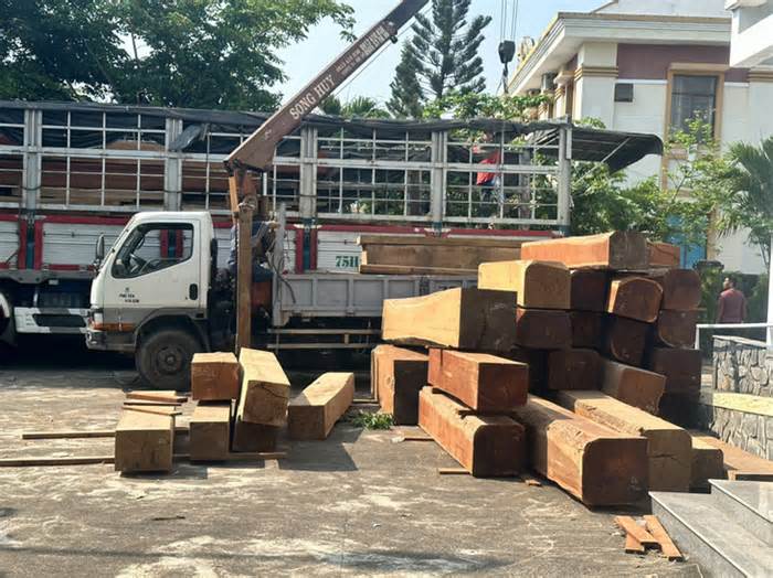 Xe tải chở hơn 21m3 gỗ ngoài hồ sơ lâm sản