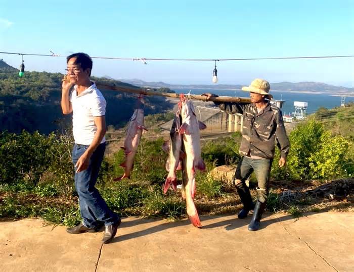 Thanh niên Ba Na bắt được cá lăng khủng, dài hơn 1,6m