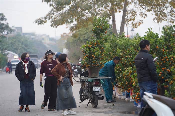 Nhộn nhịp chợ hoa Tết ở thành phố vùng biên