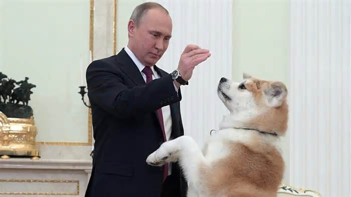 Ông Putin tặng chó con cho nữ sinh