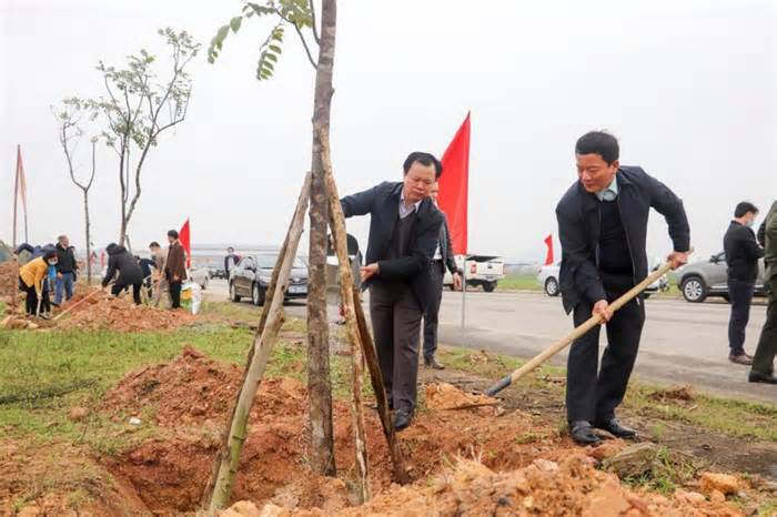 Những hàng cây mang tên “Công đoàn Hà Tĩnh”