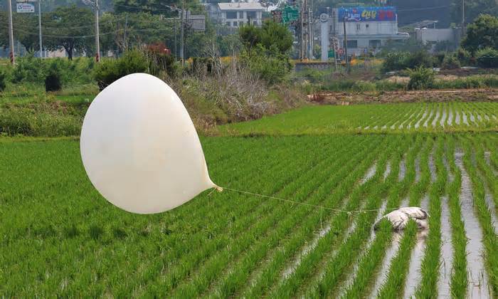 Triều Tiên thả thêm bóng bay rác sang Hàn Quốc