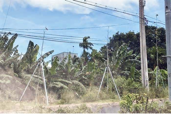 Đề nghị không trồng cây xanh dưới đường dây điện ở “chảo lửa” Ayun Pa