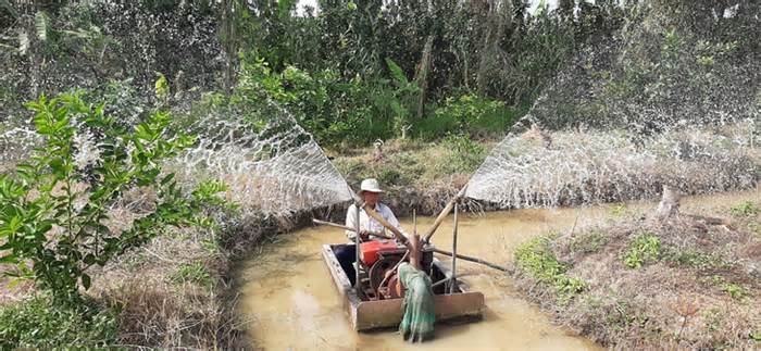 Xâm nhập mặn gia tăng ở miền Tây ngay dịp Tết