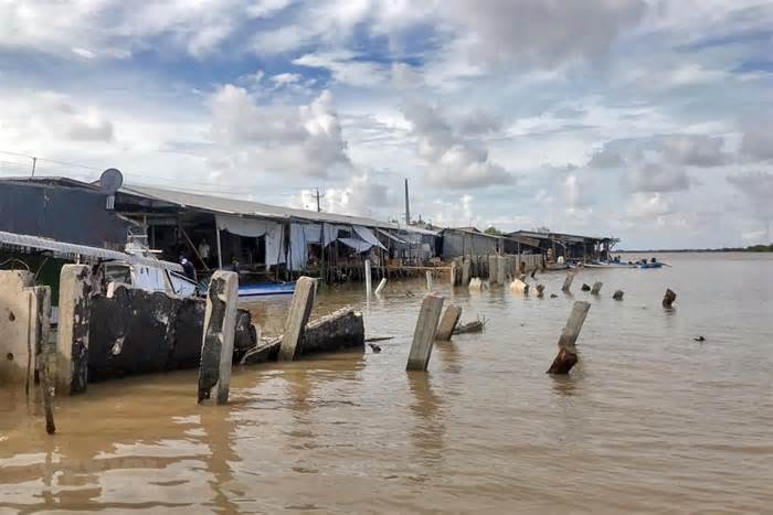 Giải pháp nào cho phòng chống sạt lở bờ sông, bờ biển ở Cà Mau?