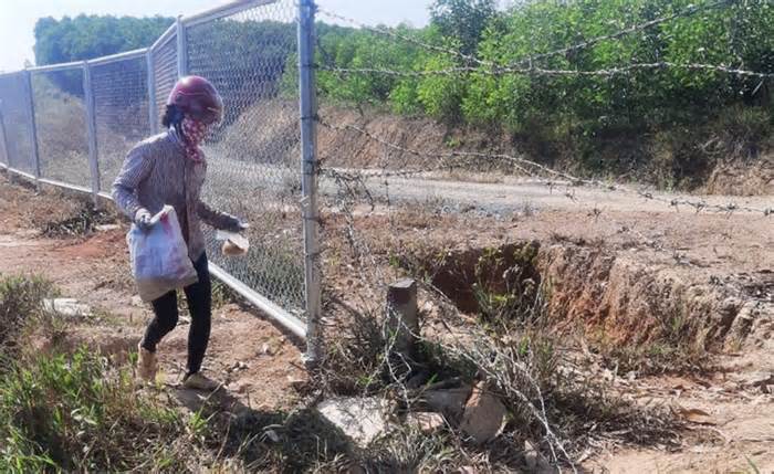 Tái diễn nạn tháo hàng rào vào cao tốc Cam Lộ - La Sơn