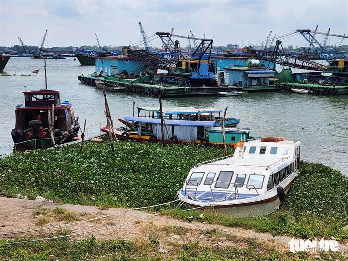 Sông Tiền ra sao mà tàu Hàng Châu chạy ẩu gây tai nạn chết người?