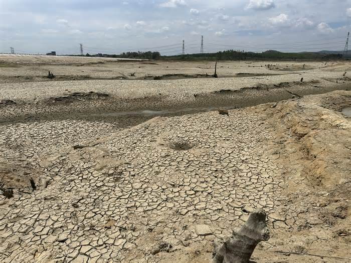 Hơn 100 hồ thủy lợi dưới mực nước chết, miền Trung thiệt hại nặng