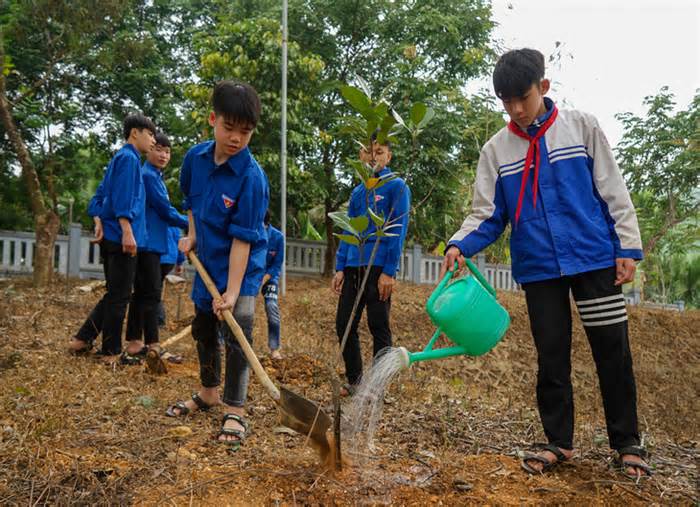 Hưởng ứng Tết trồng cây, hỗ trợ trồng 20ha rừng