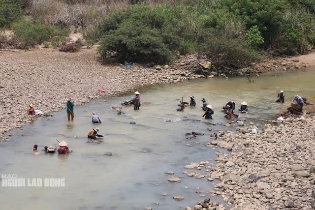Người dân Quảng Nam đổ xô xuống sông đãi cát tìm vàng