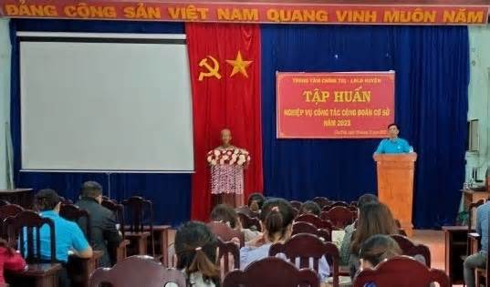 Gia Lai tập huấn nghiệp vụ kiểm tra, xử lý kỷ luật trong tổ chức Công đoàn