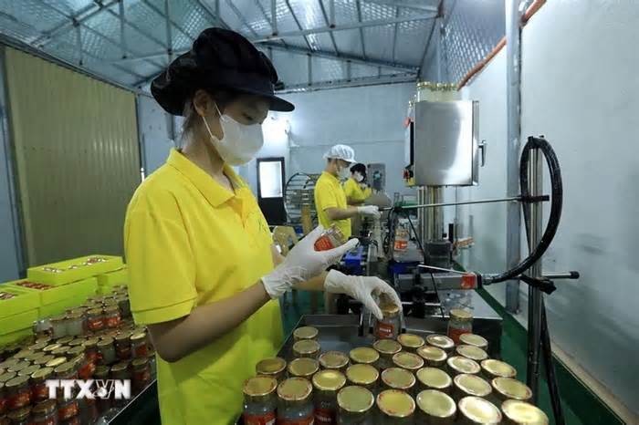 Nghị quyết 68-NQ/TW: Doanh nghiệp nhỏ và vừa phải nâng chất để hội nhập sâu