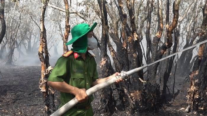 Đồng Tháp yêu cầu điều tra nguyên nhân cháy Vườn quốc gia Tràm Chim