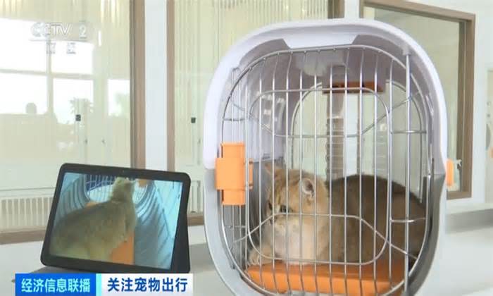 Trung Quốc khai trương phòng chờ cho thú cưng ở sân bay