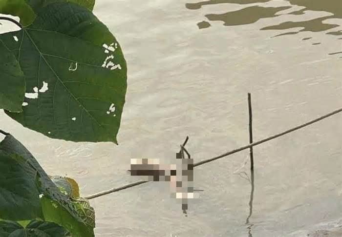 Phát hiện thi thể phụ nữ bị phân thành nhiều mảnh trôi nổi trên sông Hồng