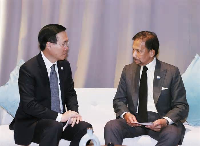 Chủ tịch nước tiếp xúc song phương với lãnh đạo Brunei và Canada