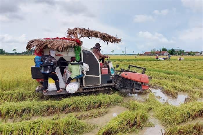 Hà Tĩnh: Nghiêm cấm hành vi bảo kê máy gặt lúa