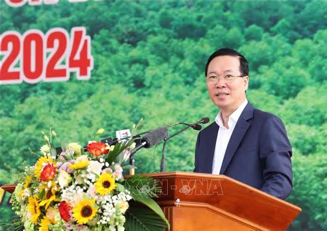 Chủ tịch nước phát động Tết trồng cây nhớ ơn Bác Hồ