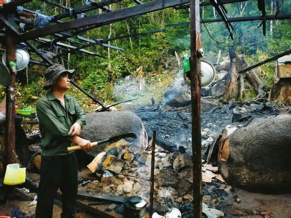 Đắk Lắk: Làm rõ việc chốt bảo vệ rừng cháy rụi nghi do lâm tặc đốt