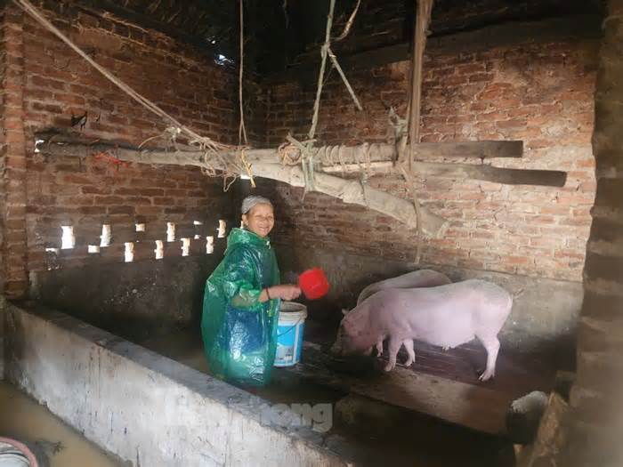 Tràn đê sông Bùi, 'rốn lũ' Chương Mỹ chìm trong biển nước