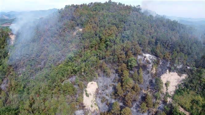 Thừa Thiên-Huế: Hàng chục người tham gia khống chế cháy rừng thông
