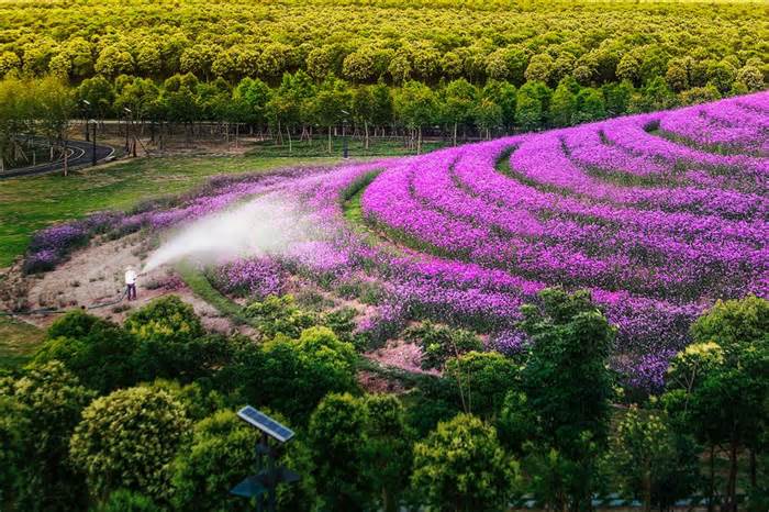 Nhà máy xử lý rác trở thành điểm du lịch