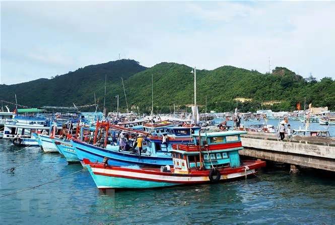 Đà Nẵng tạm giữ 4 đối tượng có sai phạm đăng kiểm đường thủy nội địa