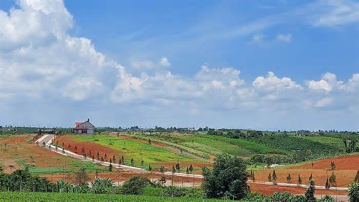 Chuyển cơ quan điều tra làm rõ vi phạm đất đai một huyện ở Lâm Đồng