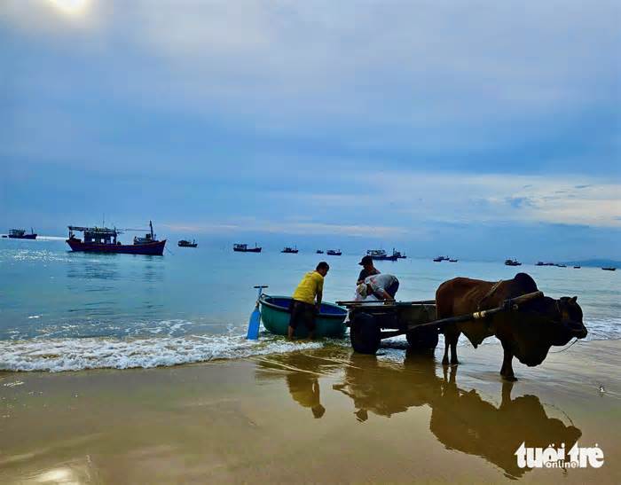 Du khách hào hứng đi chợ cá tươi ở làng du lịch cộng đồng ven biển