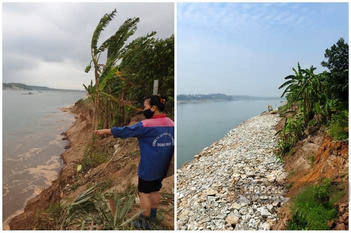 Cận cảnh tuyến kè khẩn cấp dài hàng trăm mét, bảo vệ đoạn sông Đà bị sạt lở