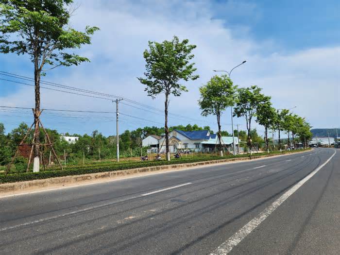 Bộ Công an yêu cầu Kiên Giang rà soát, cung cấp thông tin các dự án trồng, chăm sóc cây xanh