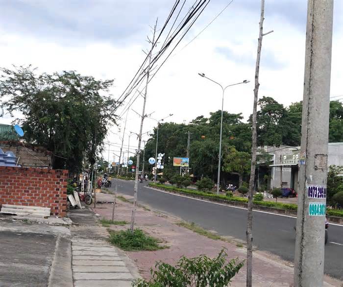 Cây xanh đô thị tại thị xã Ayun Pa lại chết khô