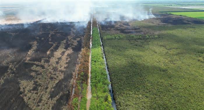 Rừng ở Giang Thành, Kiên Giang bị cháy khoảng 371ha