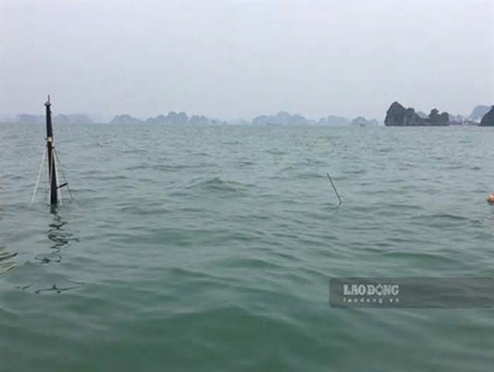 Hai vợ chồng tử vong do đắm thuyền trên vịnh Hạ Long