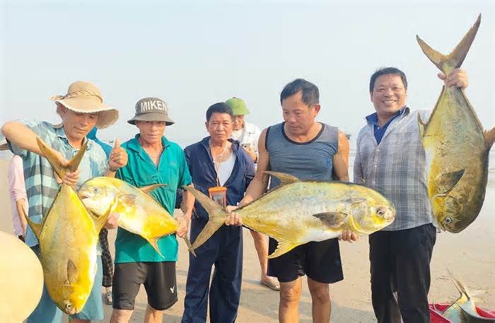 Ngư dân trúng mẻ cá chim vàng 350 triệu đồng