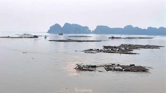 'Núi' rác khổng lồ đang 'tấn công' vịnh Hạ Long