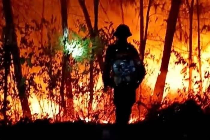 Rừng ở Nghệ An cháy rực, hàng trăm người dập lửa từ sáng đến đêm