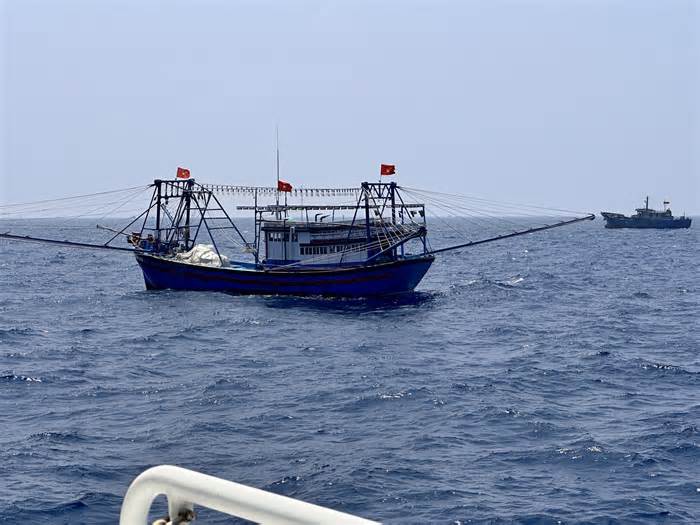 Bình Thuận: Nhiều biện pháp mạnh để ngăn chặn, chấm dứt tàu cá vi phạm IUU